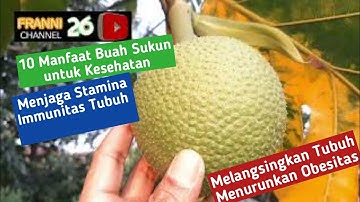 Inspirasi Kesehatan.10 Manfaat Buah Sukun Untuk Kesehatan, Menambah Stamina / Immunitas Tubuh.
