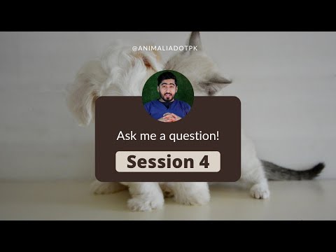Ask Your Questions || Session 4 || +92 309 5155590