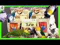 Feeding Your Parrot | Parrot Pellets | Avian Vet Recommended