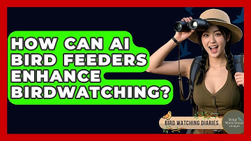 How Can AI Bird Feeders Enhance Birdwatching? - Bird Watching Diaries