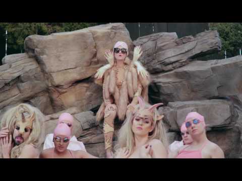 Peaches 'Vaginoplasty' -  Official Video
