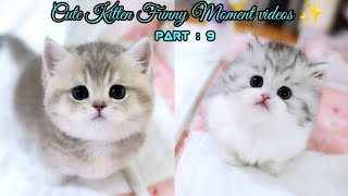 Top Funny Cute Cats Viral Clips|| Best #funny Cats #shorts Video|| #trending #animals #reels