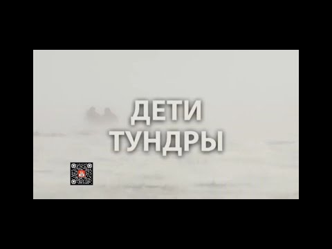 Тайны Чапман #передача #чапман2025 #документальный #рентв #интересно #познавательное #тайнычапман
