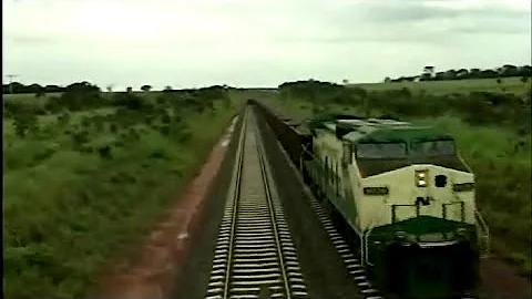 O que a Ferronorte transporta?