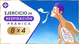 Ejercicio de respiración pránica 8x4 | Respiración rítmica con conteo 8x4