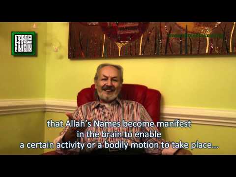 Brain Mechanics, The Quantum Potential And The Quran by Ahmed Hulusi