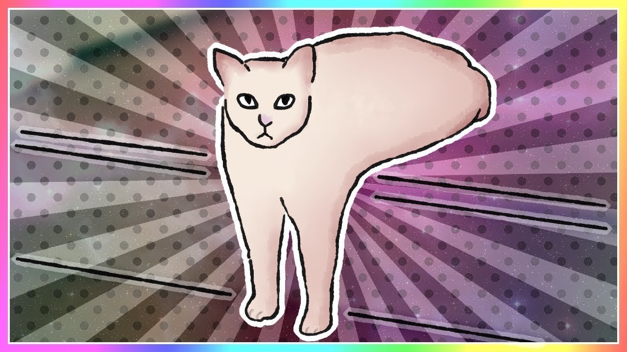 Gatos são melhores que cachorros! (vídeo antigo)