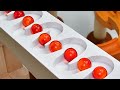 *Marble Run マーブルラン ASMR * Marble rolling sound, Wave slope, Color track