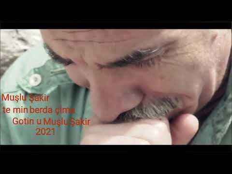 Muşlu Şakir (te min berda çima canli Ses.2021