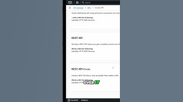 API Gateway API Types | From A Certified AWS Developer Associate | Hamd Waseem | #aws #apigw