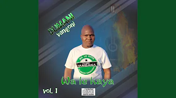 Papa fana (feat. XaMaccombo & Toy Boy)