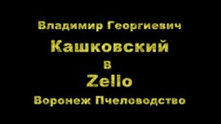 видео: В Г Кашковский встреча с пчеловодами на канале Воронеж Пчеловодство Zello 14 03 2019 картинка: В Г Кашковский встреча с пчеловодами на канале Воронеж Пчеловодство Zello 14 03 2019