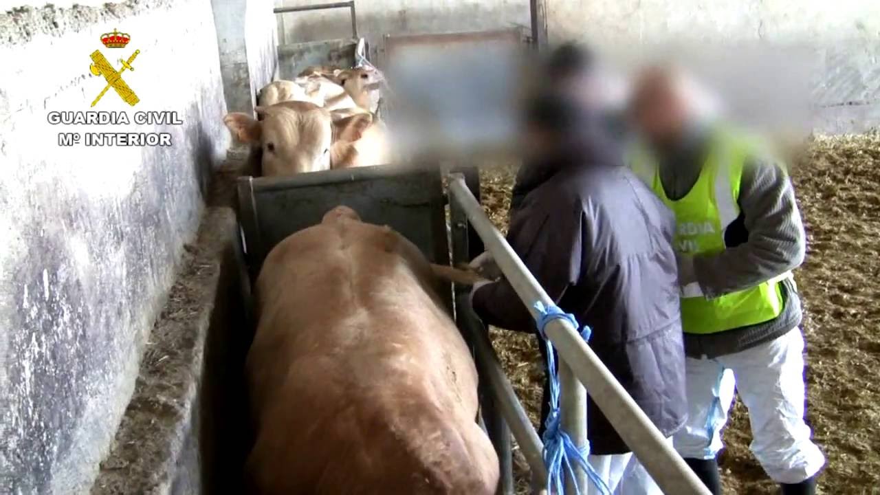 Argumentos para deshacerse de esteroides anabolizantes androgénicos El negocio de la esteroides anabolizantes androgénicos