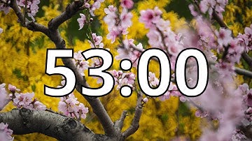 53 Minutes Timer with Music | Cherry Blossom Timer