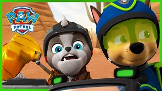 Pups and Cat Pack return the Golden Mask and more!  PAW Patrol  Cartoons for Kids Compilation