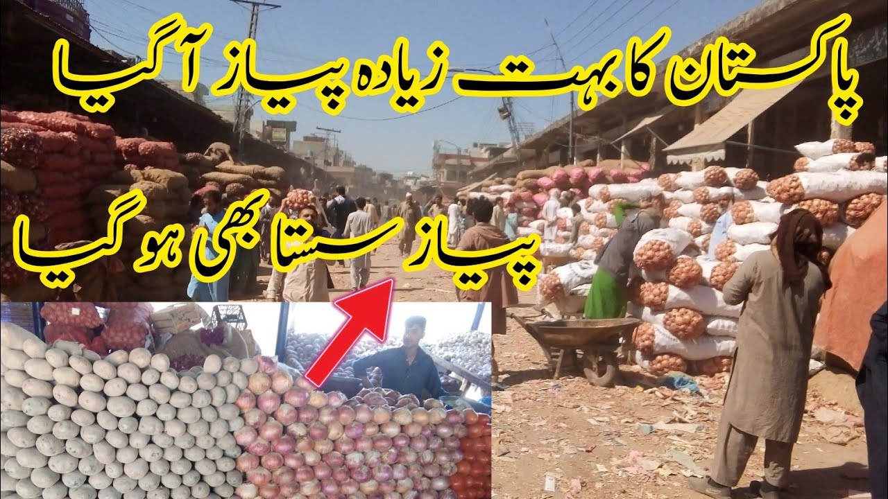 New Onion Price In Pakistan l Onion Rates In Islamabad Sabzi Mandi