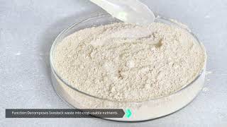Compound Microbial Agent For Manure And Straw Decomposition