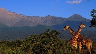 Arusha National Park - video by Tanzania National Park