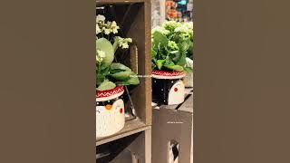 Little things in life 🌷 #shorts #youtubeshorts