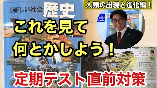 【世界史】① 社会定期テスト直前対策  猿人編　世界史　家で一緒にやってみよう