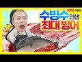 [6시 N고향] 3편 🐟수빙수 인생 최대 크기 15kg 괴물 방어🐟 6시 내고향에서 보여주는 그녀의 찐 본업은?!🤭 #수빙수 #6시내고향 #6시n고향 #수빙수회뜨러가다 #kbs