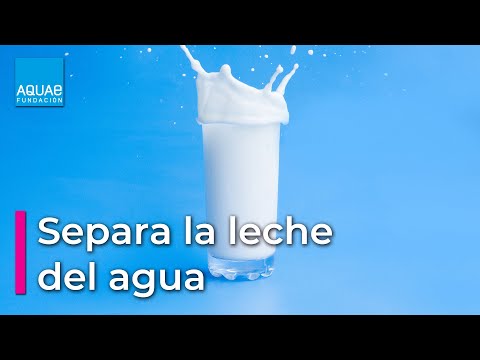 Video: ¿Por qué se mezclan la leche y el agua?