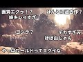 もしライズしかプレイしたことない新米ハンターがワールドを見たら。【MHW/モンハンワールド】