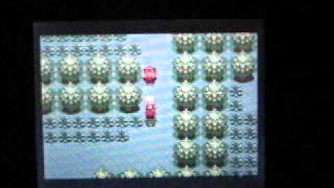 Pokémon Ruby playthrough part 4: The British Researcher