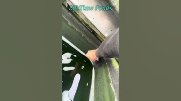 Liner repair patch #pondworks #backyardpond #ponds