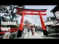 A morning in Fushimi Inari Shrine, Kyoto, Japan #japantravel #japan2023 #kyoto