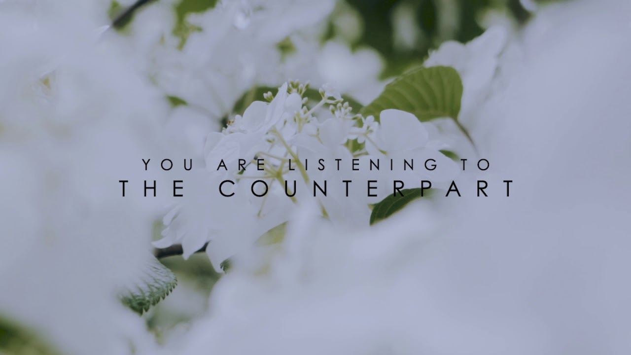 Vaudlow - The Counterpart (Official Audio)