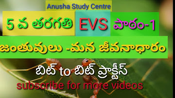 TET DSC 5TH CLASS EVS|పాఠం-1 జంతువులు మన జీవనాధారం|బిట్ to బిట్ ప్రాక్టీస్|DSC 2020 imp bits