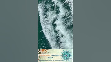 وَكَذَلِكَ حَقَّتْ كَلِمَتُ رَبِّكَ عَلَى الَّذِينَ كَفَرُوا أَنَّهُمْ أَصْحَابُ النَّارِ /سورة غافر