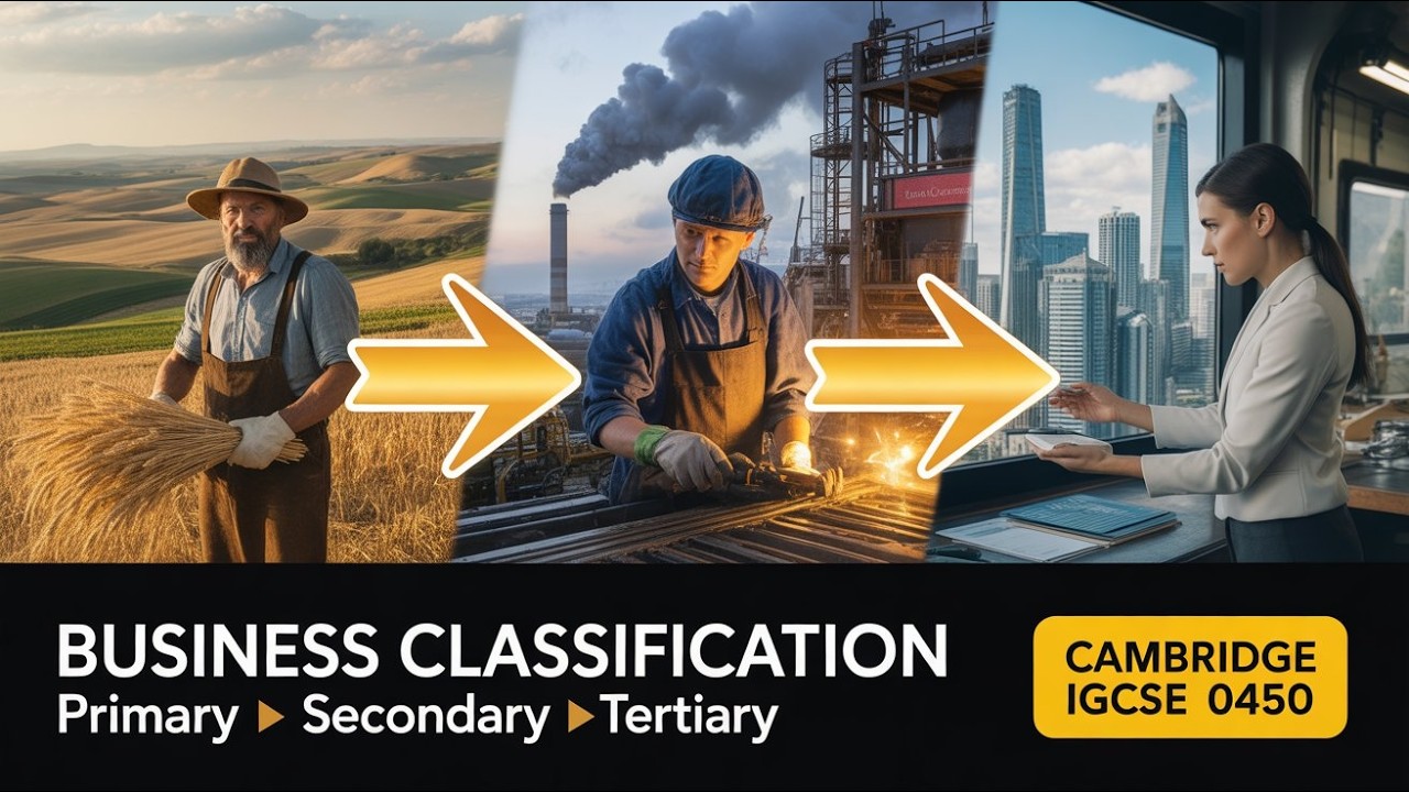 1.2 Classification of Business: 0450 Business Studies Cambridge IGCSE ...
