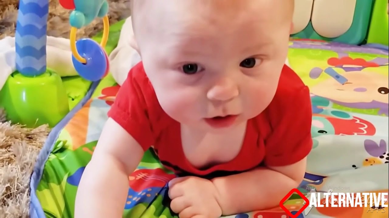 Funny Video (Smart Baby And Animals Funny Moments) 