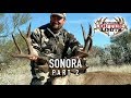 GIANT Mexico Muley shot at 637 yards - Muley Connection - Part 2