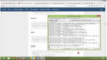 How to install Monit