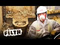 Cleaning a Huge Pile of Pigeon S*** | Supersize Grime | Filth