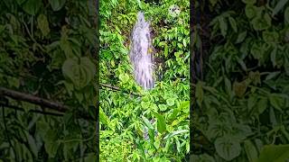 Grojogan 3 Hanya Di Musim Hujan  grojogan waterfall nature life
