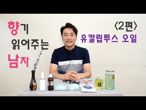 [향기 읽어주는 남자] 제 2편 - 유칼립투스 오일(룸스프레이 만들기)