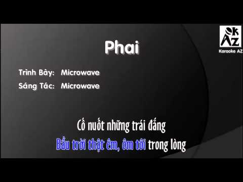 [Karaoke + Beat] Phai - Microwave