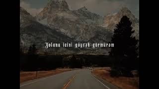 Nə vaxtdı dağlarda çiçək görmürəm... Resimi