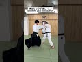 横面打ち小手返し(ニ) Yokomen uchi kotegaeshi 2