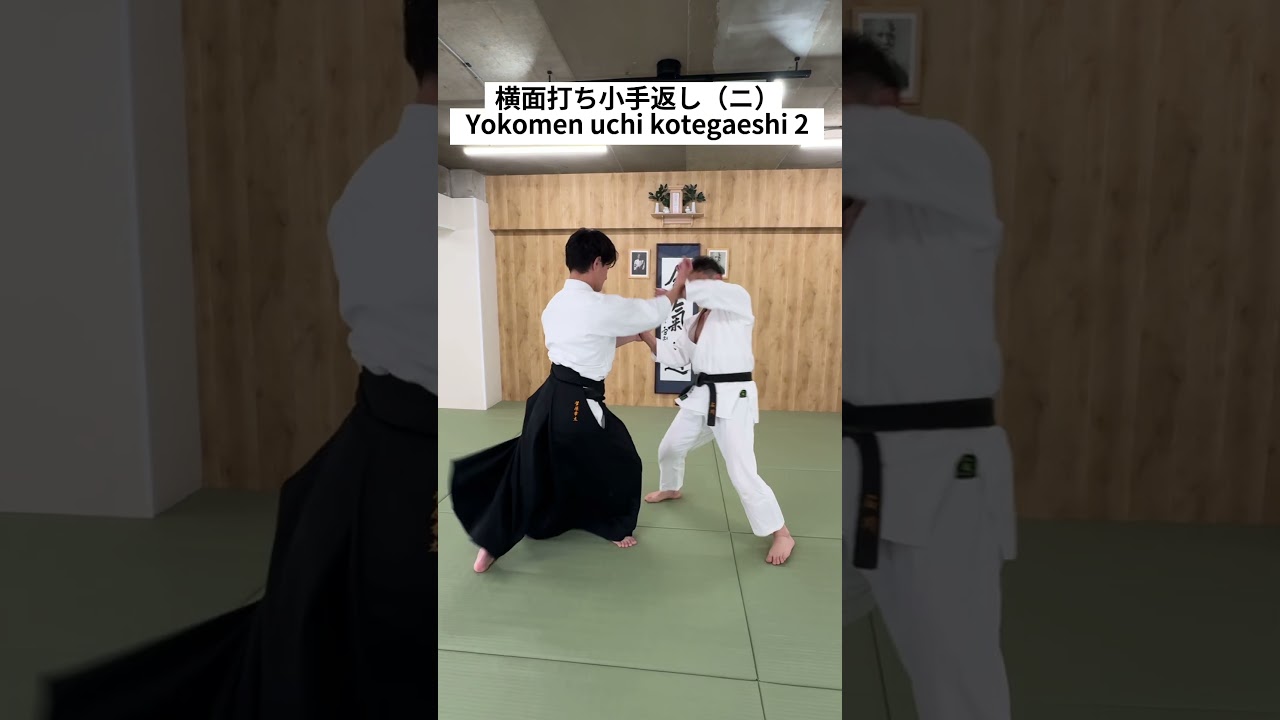 横面打ち小手返し(ニ) Yokomen uchi kotegaeshi 2