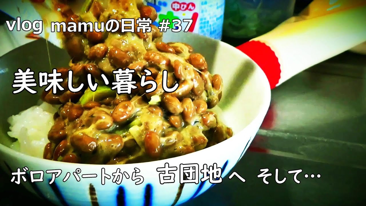 砂糖を使わず夕飯を作ろう｜団地暮らし｜Japanese vintage apartment｜mamuの日常37｜宮沢賢治｜ご飯が美味しいと言える幸せ！