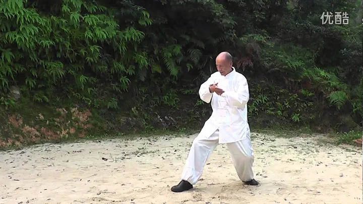 Chen Cui Yang laosh taij quan