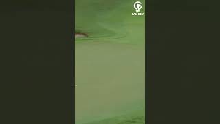 Rory Mcilroy Triple Bogey