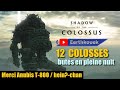 Shadow of colossus remaster partie 1 la redcouverte  earthkouek