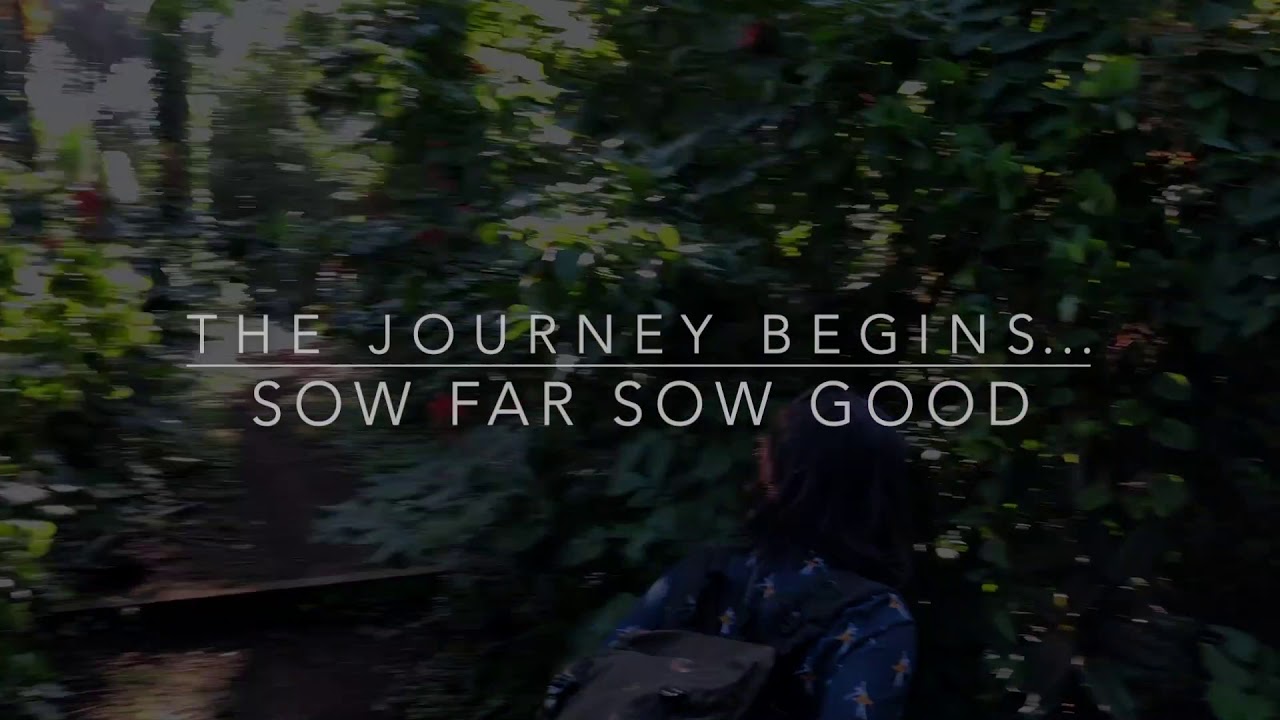 journey begins video download