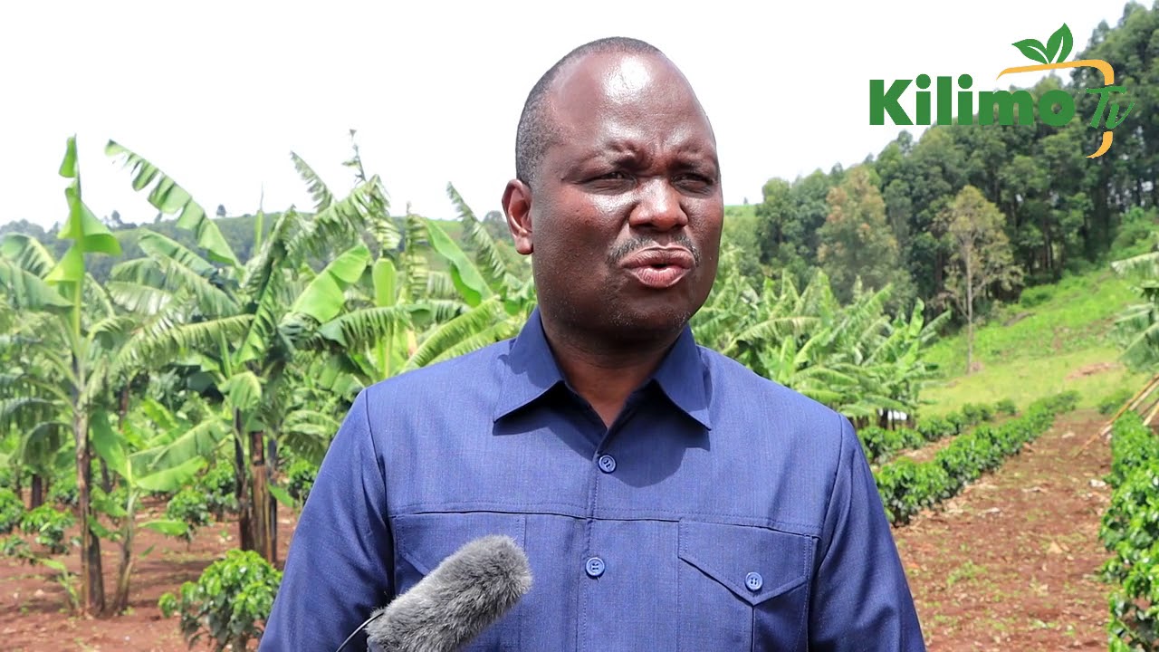 ALICHOBAINI  KATIBU MKUU KILIMO MKOANI MARA KATIKA ZIARA YA SIKU TATU.